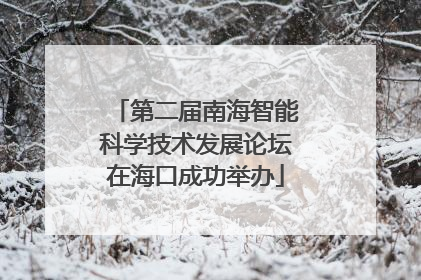 第二届南海智能科学技术发展论坛在海口成功举办