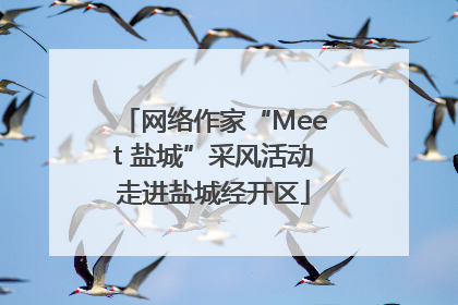 网络作家“Meet 盐城”采风活动走进盐城经开区
