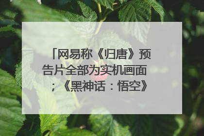 网易称《归唐》预告片全部为实机画面；《黑神话：悟空》公布Xbox版预购视频｜游戏早参