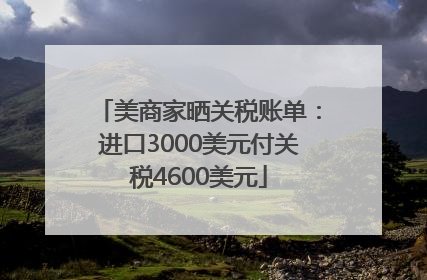 美商家晒关税账单：进口3000美元付关税4600美元