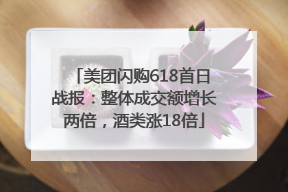 美团闪购618首日战报：整体成交额增长两倍，酒类涨18倍