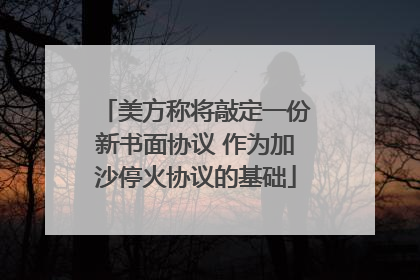 美方称将敲定一份新书面协议 作为加沙停火协议的基础