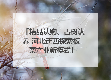 精品认购、古树认养 河北迁西探索板栗产业新模式