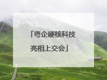 粤企硬核科技亮相上交会