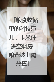 粮食收储里的科技范儿：玉米住进空调房 粮仓披上隔热罩
