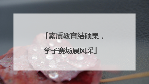 素质教育结硕果，学子赛场展风采