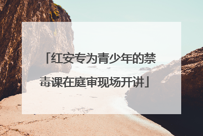 红安专为青少年的禁毒课在庭审现场开讲