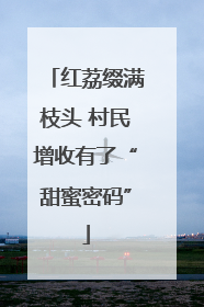 红荔缀满枝头 村民增收有了“甜蜜密码”