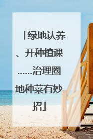 绿地认养、开种植课……治理圈地种菜有妙招