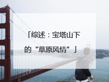 综述：宝塔山下的“草原风情”