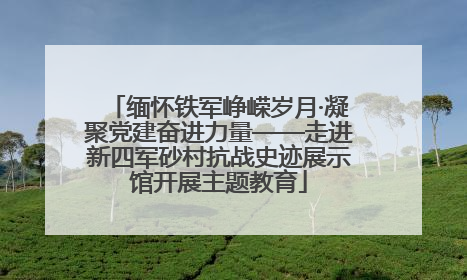 缅怀铁军峥嵘岁月·凝聚党建奋进力量——走进新四军砂村抗战史迹展示馆开展主题教育