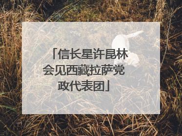 信长星许昆林会见西藏拉萨党政代表团