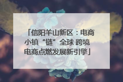信阳羊山新区：电商小镇“链”全球 跨境电商点燃发展新引擎