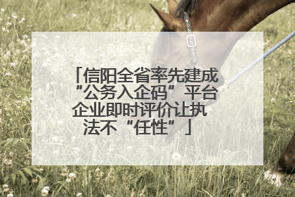 信阳全省率先建成“公务入企码”平台 企业即时评价让执法不“任性”