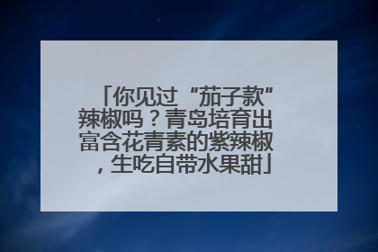 你见过“茄子款”辣椒吗？青岛培育出富含花青素的紫辣椒，生吃自带水果甜