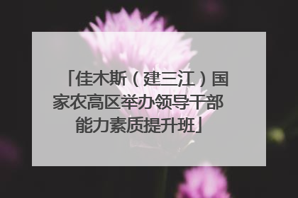 佳木斯（建三江）国家农高区举办领导干部能力素质提升班