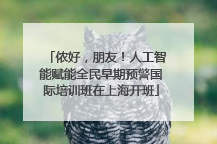 侬好，朋友！人工智能赋能全民早期预警国际培训班在上海开班