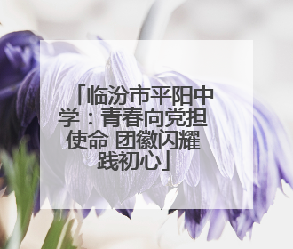 临汾市平阳中学：青春向党担使命 团徽闪耀践初心