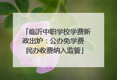 临沂中职学校学费新政出炉：公办免学费 民办收费纳入监管