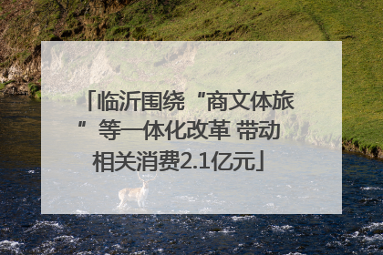临沂围绕“商文体旅”等一体化改革 带动相关消费2.1亿元