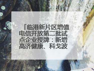 临港新片区增值电信开放第二批试点企业授牌：新增高济健康、科戈波特两家