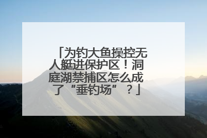 为钓大鱼操控无人艇进保护区！洞庭湖禁捕区怎么成了“垂钓场”？