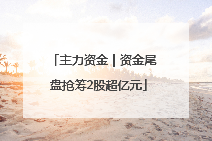 主力资金｜资金尾盘抢筹2股超亿元