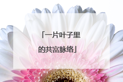 一片叶子里的共富脉络