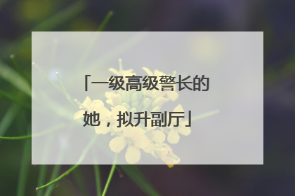 一级高级警长的她，拟升副厅