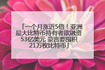 一个月涨近5倍！亚洲最大比特币持有者欲融资53亿美元 豪言要囤积21万枚比特币