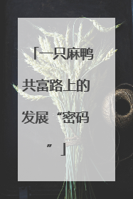 一只麻鸭共富路上的发展“密码”