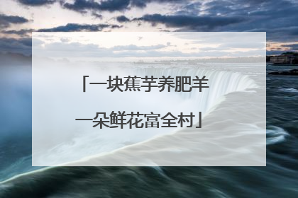 一块蕉芋养肥羊 一朵鲜花富全村