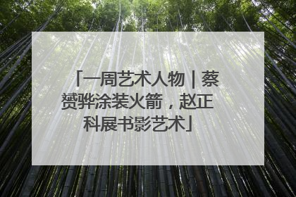 一周艺术人物｜蔡赟骅涂装火箭，赵正科展书影艺术
