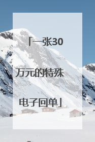 一张30万元的特殊电子回单