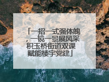 一招一式强体魄，一镜一景展风采 积玉桥街道双课赋能楼宇党建