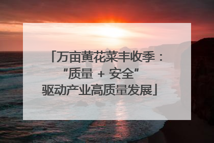 万亩黄花菜丰收季：“质量 + 安全” 驱动产业高质量发展