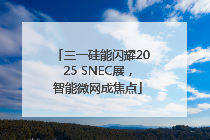 三一硅能闪耀2025 SNEC展，智能微网成焦点