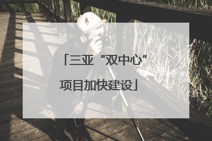 三亚“双中心”项目加快建设