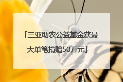 三亚助农公益基金获最大单笔捐赠50万元