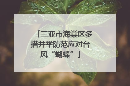 三亚市海棠区多措并举防范应对台风“蝴蝶”