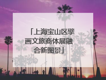 上海宝山区擘画文旅商体展融合新图景