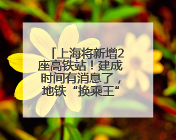 上海将新增2座高铁站！建成时间有消息了，地铁“换乘王”可直达→