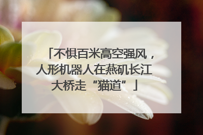 不惧百米高空强风，人形机器人在燕矶长江大桥走“猫道”