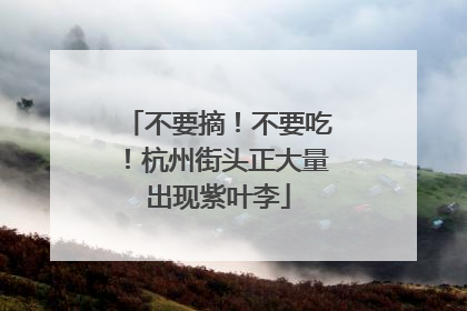 不要摘！不要吃！杭州街头正大量出现紫叶李