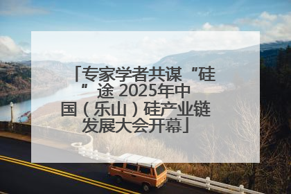 专家学者共谋“硅”途 2025年中国（乐山）硅产业链发展大会开幕