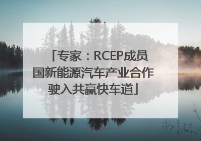 专家：RCEP成员国新能源汽车产业合作驶入共赢快车道