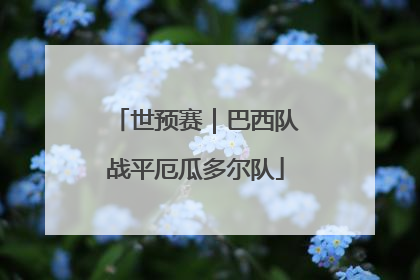 世预赛｜巴西队战平厄瓜多尔队