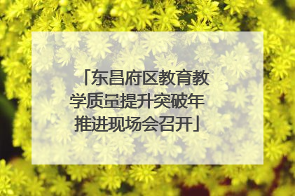东昌府区教育教学质量提升突破年推进现场会召开