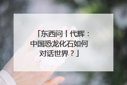 东西问丨代辉：中国恐龙化石如何对话世界？