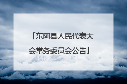 东阿县人民代表大会常务委员会公告